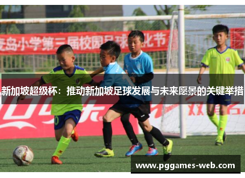 新加坡超级杯：推动新加坡足球发展与未来愿景的关键举措