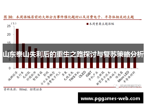 山东泰山失利后的重生之路探讨与复苏策略分析
