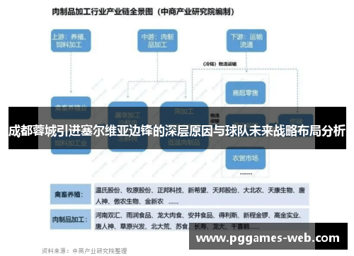 成都蓉城引进塞尔维亚边锋的深层原因与球队未来战略布局分析