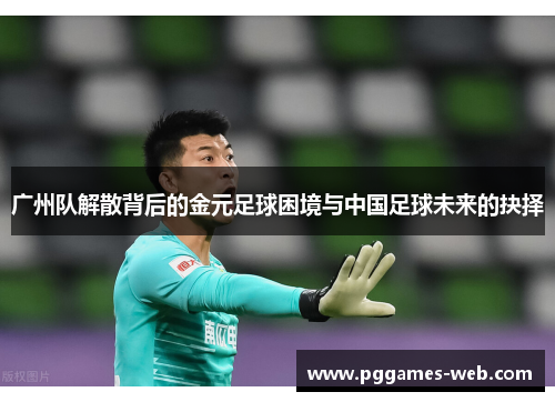 广州队解散背后的金元足球困境与中国足球未来的抉择